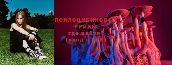 ГАЛЛЮЦИНОГЕННЫЕ ГРИБЫ Алексин