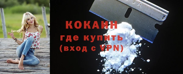 винт Костерёво
