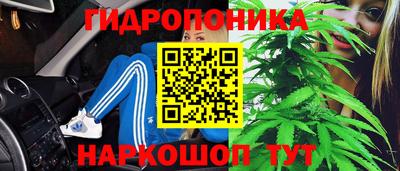гидропоника Кулебаки
