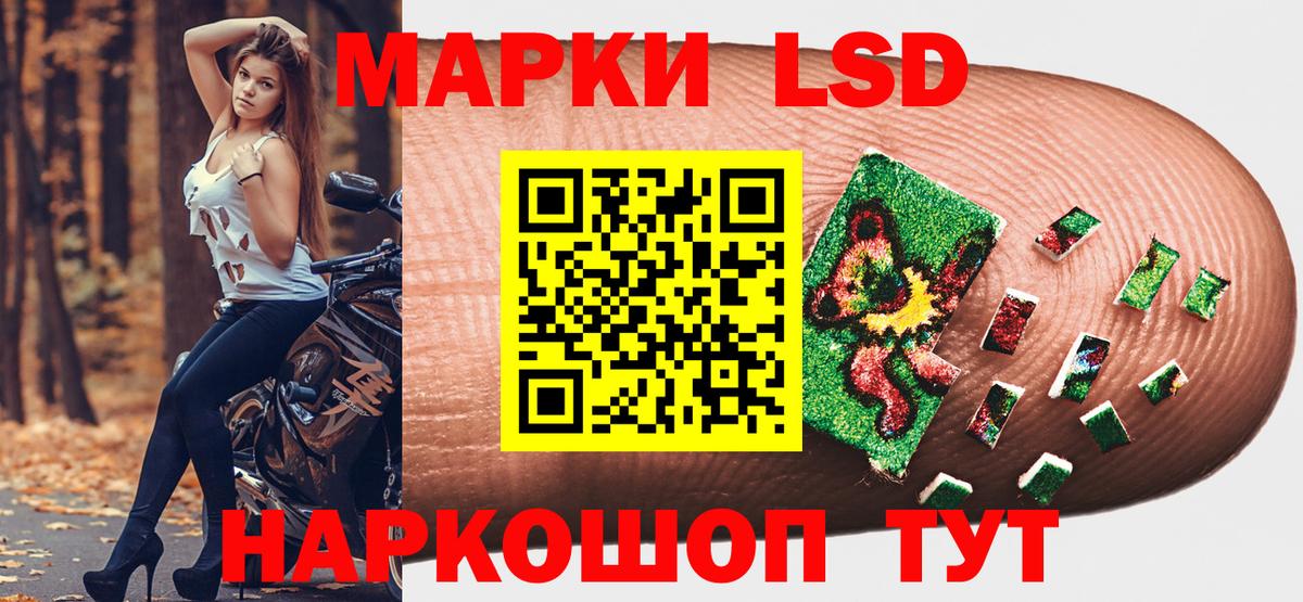 Наркотические марки 1,8мг  Наркотические марки 1,8мг  Тара  Вход с VPN 