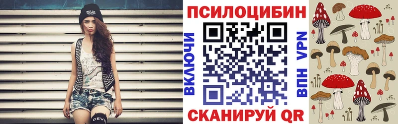 Псилоцибиновые грибы Cubensis  Тара 