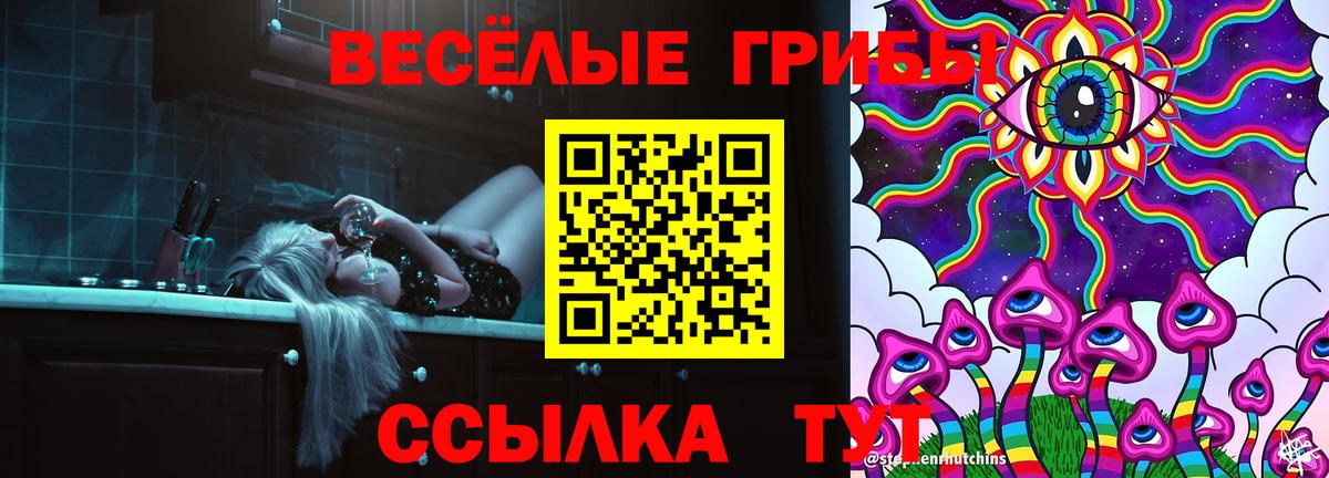 Галлюциногенные грибы Psilocybine cubensis Тара